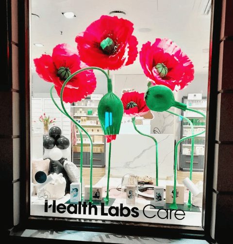 Gigantyczne maki z papieru dla marki Health Labs Care